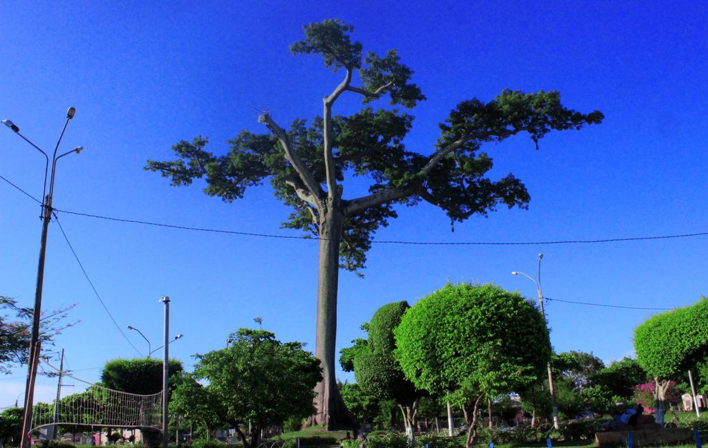 Hotel Sol Del Oriente Pucallpa Εξωτερικό φωτογραφία